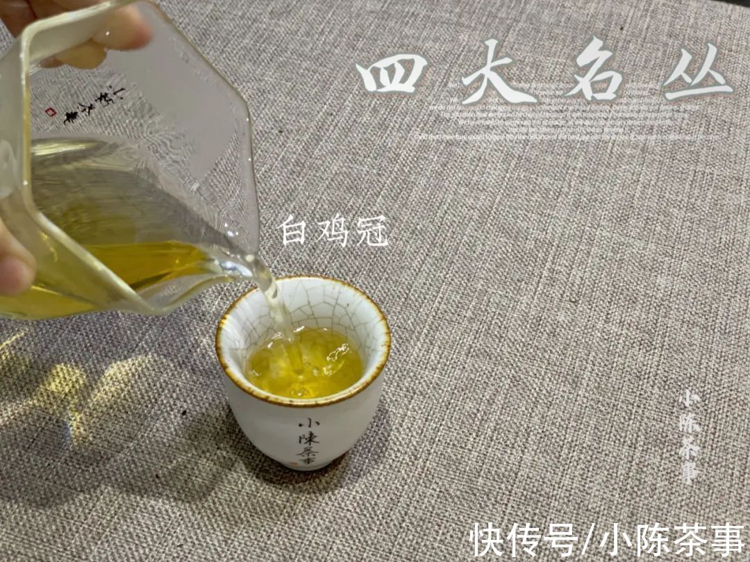 岩茶#从铁罗汉、水金龟、半天妖，再到白鸡冠，四大名丛见证岩茶的历史