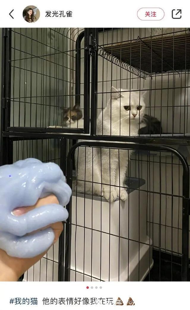 |Merry Christmas 冷段子2022