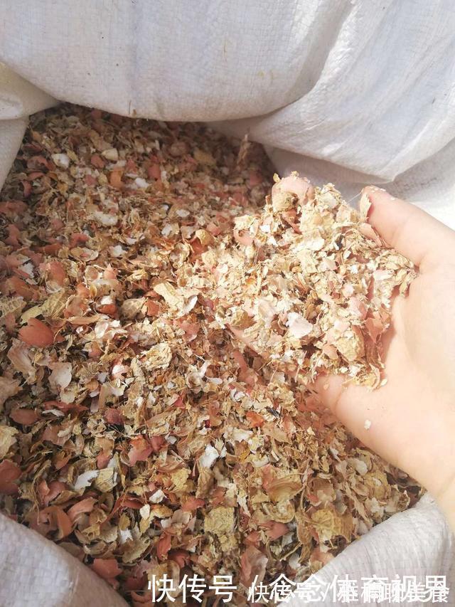 花生壳|无论养什么花,加3种“东西”,啥花都疯长,根粗叶绿,开花多