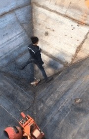 |搞笑GIF:仙女,你这样欺负一个机器人,真的会让系统错乱的