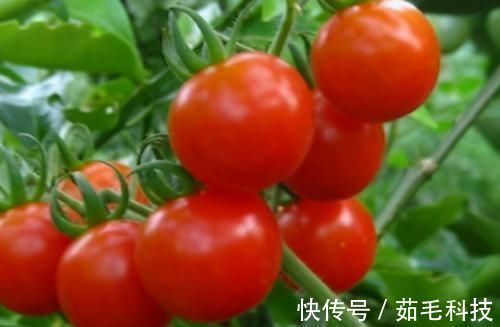 食物|人到中年想长寿,不妨多吃3种食物,消脂减肥,有益健康!