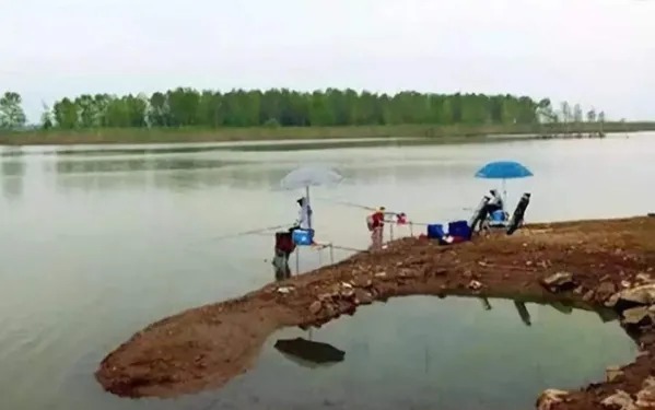 自从入秋后，最不该错过这3个钓位，但大部分钓鱼人都忽视了