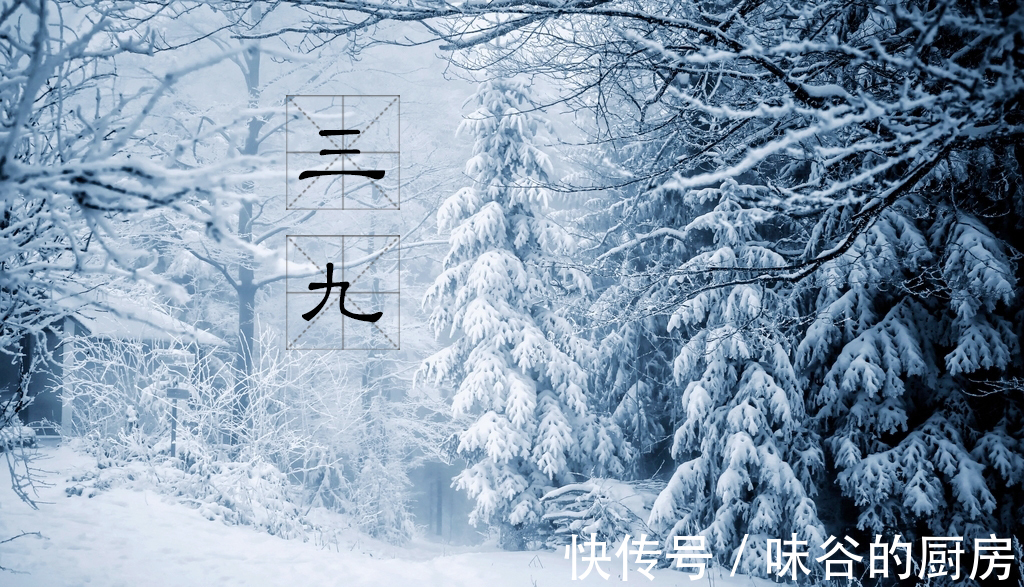 营养|明日进入“三九天”,要多吃这“五高”食物,补足营养,抵御寒冷精神足