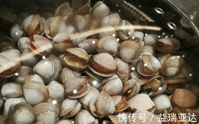 洗花甲|刚知道，洗花甲只放盐是错的，内行人：只需一招，花蛤吐沙拦不住