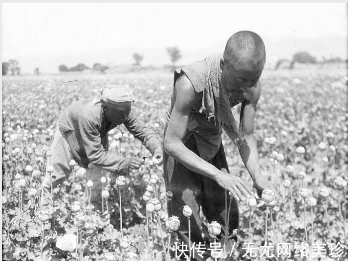 绥远|1931年 绥远萨拉齐县（今包头）老照片