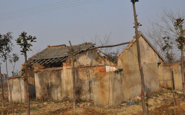 因为《变形记》得了“公主病”,农村女孩王红林,现在怎么样了?