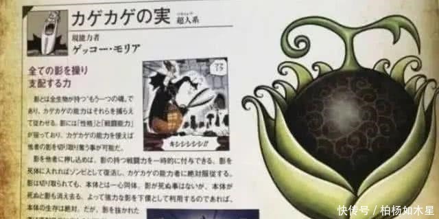脑洞|海贼王 外形最为奇葩的五种恶魔果实,尾田脑洞有多大才能想到