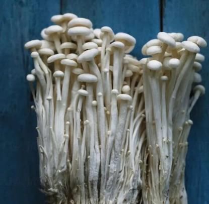 减脂|“越吃越瘦”的7大食物排行榜,第一名竟然比肉还好吃