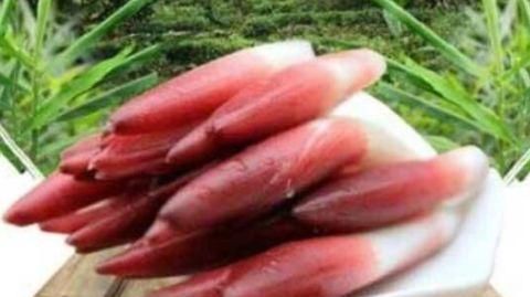 月经|女性常吃一物,不咳嗽了,月经规律了,子宫也越来越好,不妨试试