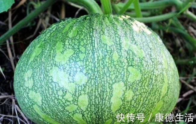 南瓜营养丰富价值高，以下两种人最好不要吃，赶紧来了解一下