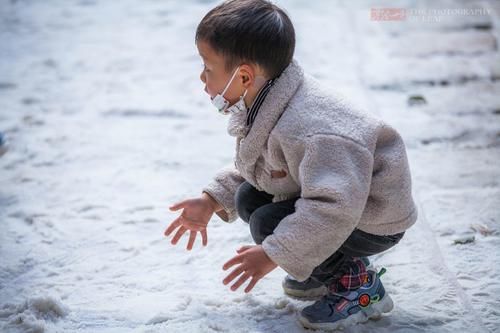 屋檐、地面雪白一片，大朵“雪花”从天而降，浙江宁波下雪了