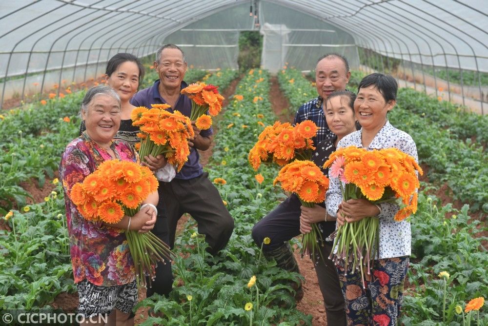 分外香|夏花争艳分外香