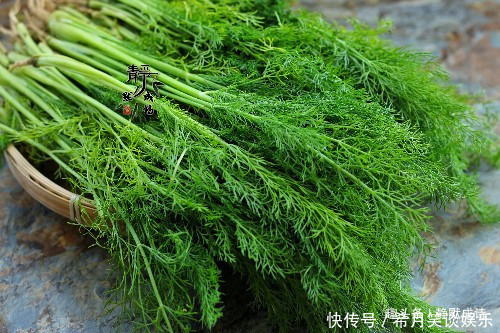  吃腻|此馅儿的饺子太香了，从小吃到大，几十年不曾吃腻，北方人都懂