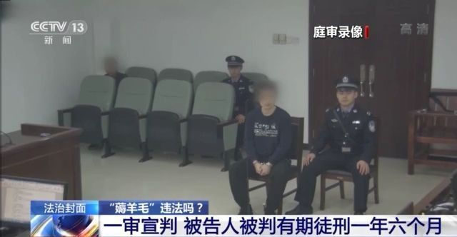 商场|“薅羊毛”可能违法！三个案例告诉你请不要耍“小聪明”