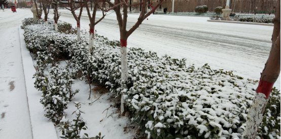 景色——灵寿县冬日的雪景