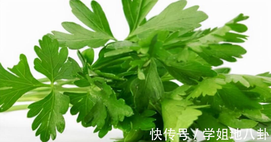 膳食纤维|吃芹菜为什么不吃叶子?大部分人还不明白,为了健康了解一下