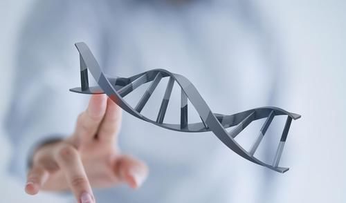 智商|宝宝的智商,是取决于爸爸还是妈妈?答案或许与你想的不一样