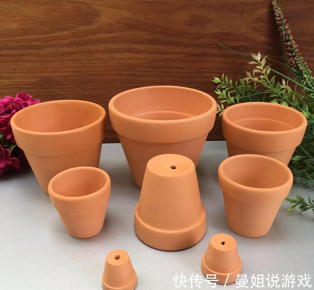 劣质花盆栽种花卉,再用心管理也白搭,几种花盆要慎选
