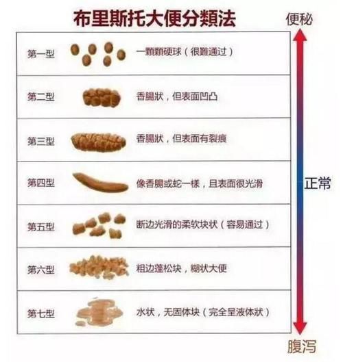  大便|拉出的大便，前面干硬，后面稀软，是肠道出问题了？医生给出了解释！