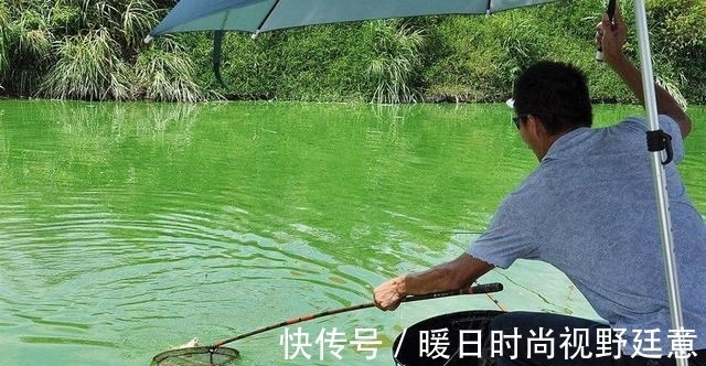 地方|夏季野钓,在这三个地方下竿,都是鱼群喜欢扎窝的地方