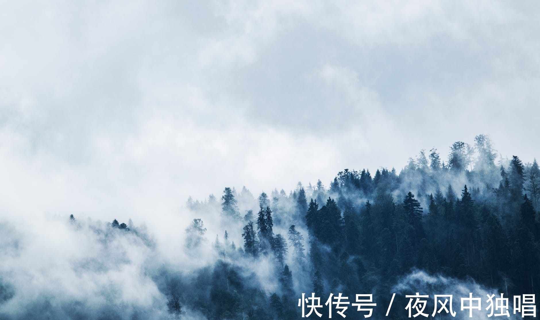 柳宗元$柳宗元被明升暗贬后登楼赋诗，把愁思写得气势壮阔