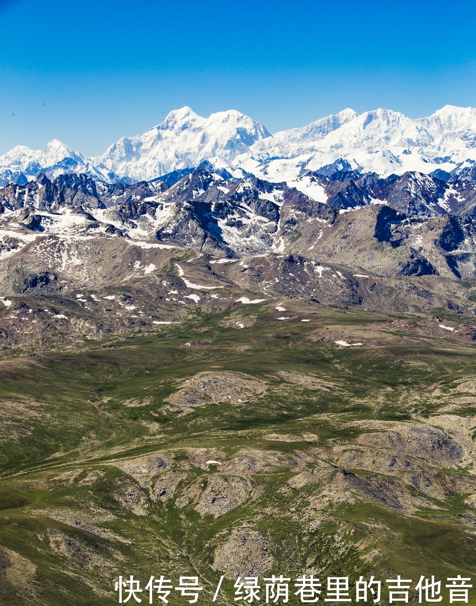 做鱼,也是在书写人生