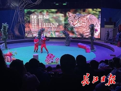 中年|花式过大年,近两日东湖接待游客39.4万人