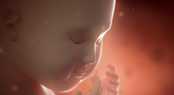 男宝|孕妇尿频是女宝还是男宝?这个答案可能出乎你预料,看看吧!