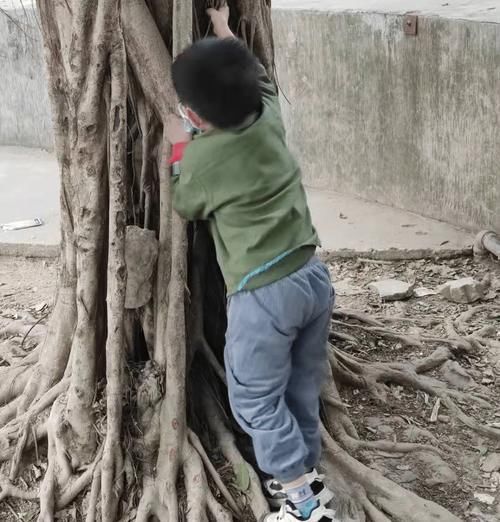 维生素d|长身体中的孩子们有福了,最佳长高的时间悄悄告诉你