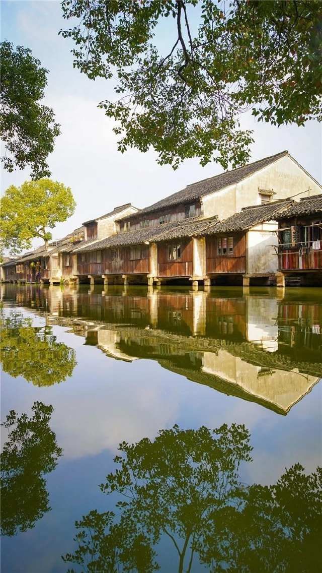 春雷始鸣,乌镇“慢直播”带你“云春游”,看小镇有多美