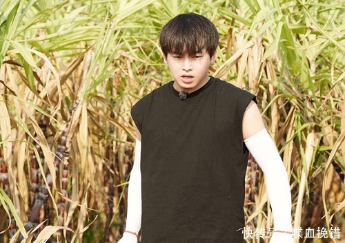 向往的生活4|向往4下期放大招,直接请来彭昱畅未来妻子,现在熬夜也要追了