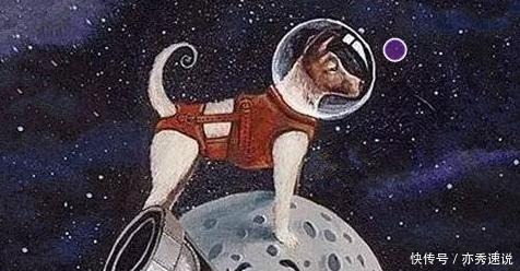 生物 人类航天的第一功臣是条狗狗, 它叫莱卡! 现在仍漂流的太空!