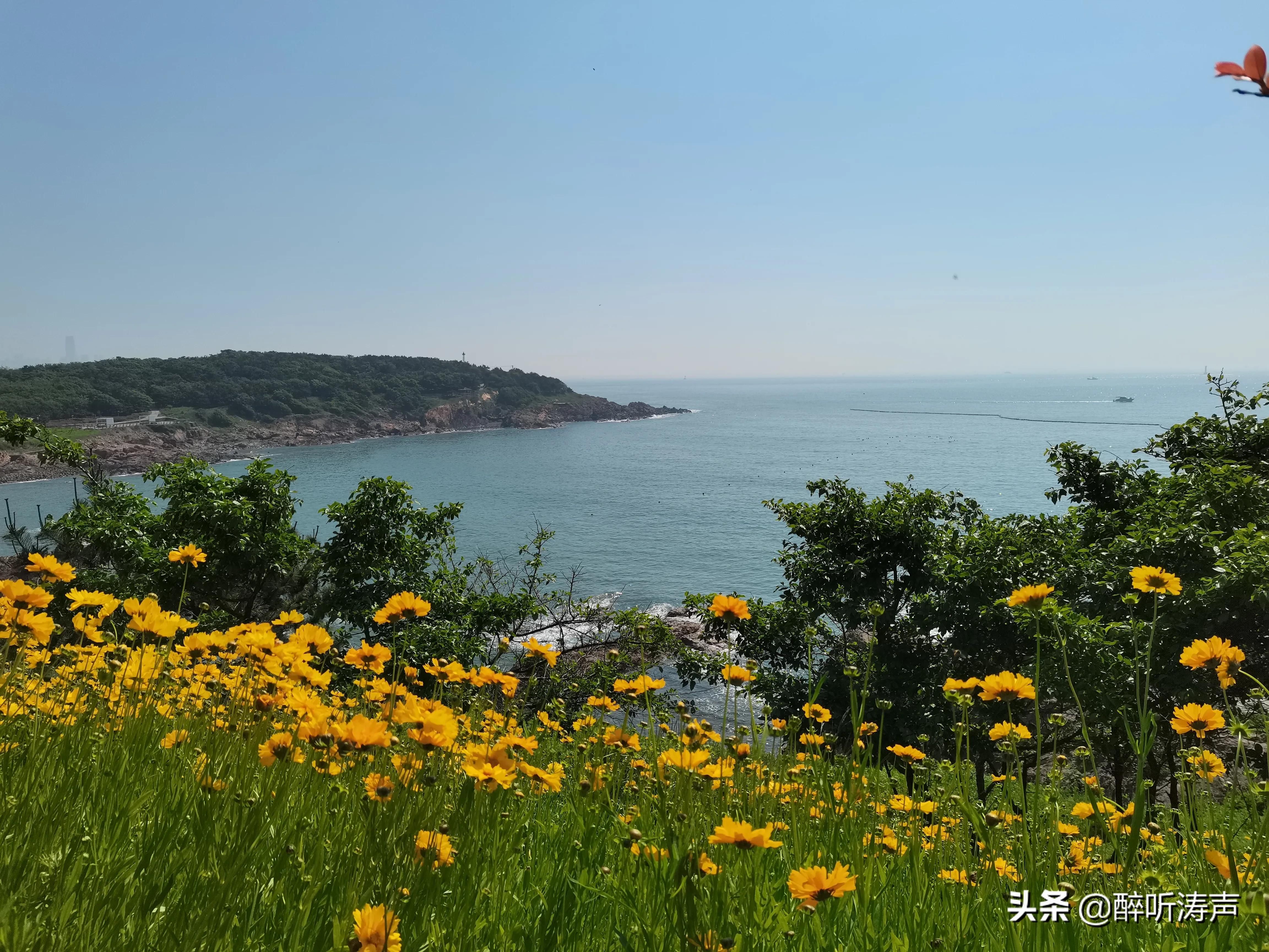 难以形容|天蓝海蓝花海一片片，难以形容的东环岛路之美