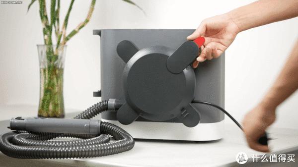 布艺|家有毛孩子，如何彻底清扫卫生？东菱布艺清洁机带来全新解决方案