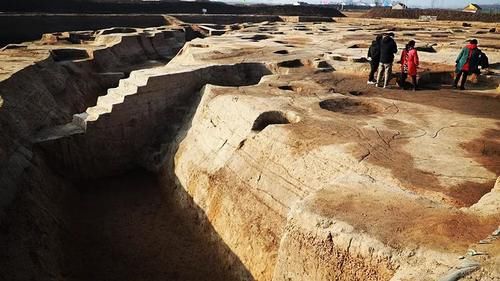  调研|国内众多顶尖考古专家齐聚淮阳时庄遗址现场调研及学术研讨