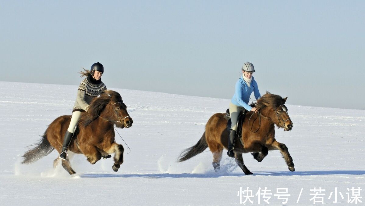 相处#一个人如何才能成功，学习老子，佛陀，孔子的思想？