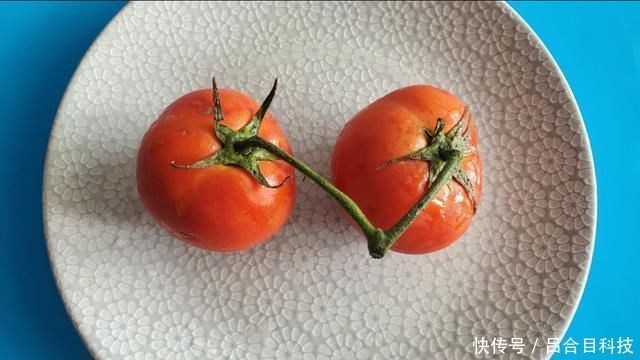 西红柿鸡蛋炒白玉菇,营养丰富,好吃又下饭