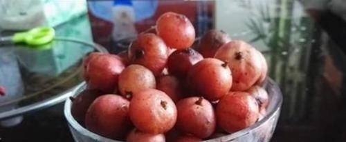 风湿|农村一果子是“风湿”的克星，阳台盆栽一盆，好吃营养还省钱！