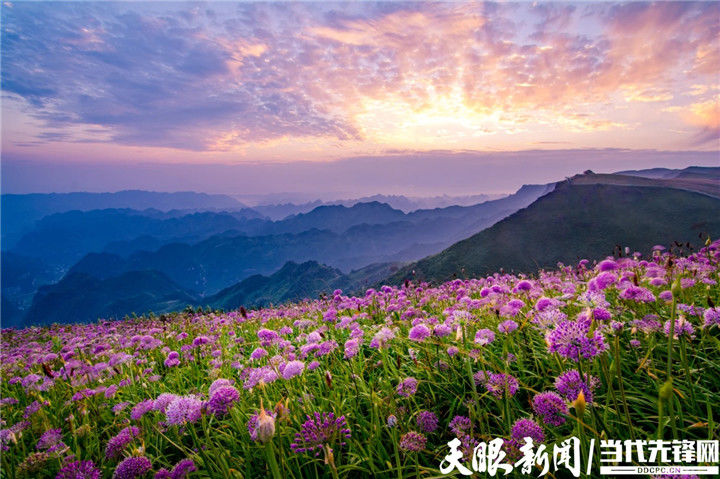 研学|旅游复苏转思路 供需两端下功夫！贵州在释放消费潜力上奋力攻坚