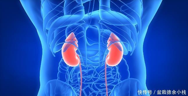 血肌酐|判断肾病轻重,别再被肌酐“支配”!有一项重要指标很多人漏了