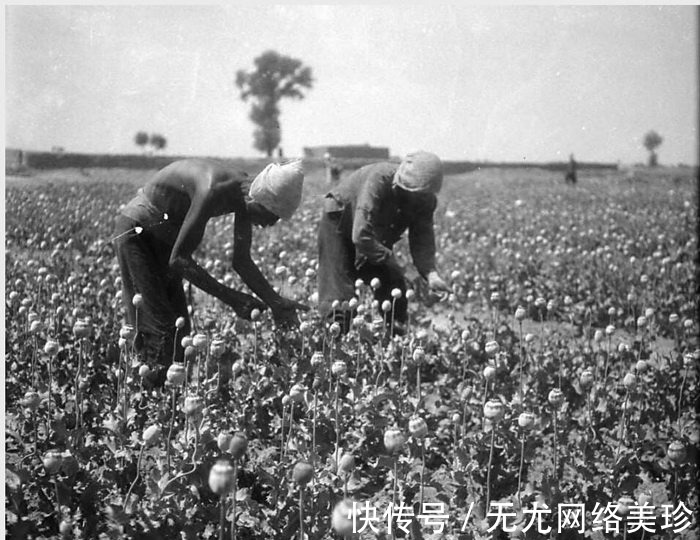 绥远|1931年 绥远萨拉齐县（今包头）老照片