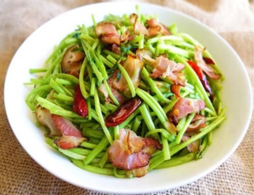  冬季|冬季，吃茼蒿吃菠菜，不如吃它，营养极高，好吃不长肉，太香了！