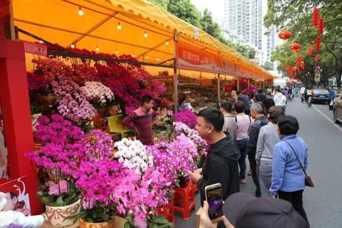 广州以前的“市花”，城中居民以其白皙可人，青睐一千多年