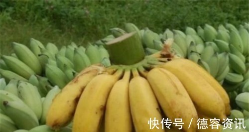 香蕉|人到中年,坚持常吃4种食物,降压减脂,养护血管,抗衰老