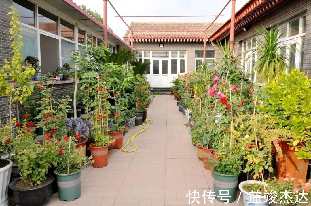 庭院|显摆一下我的家丨花开香满院，爱花人在自家庭院建小花园