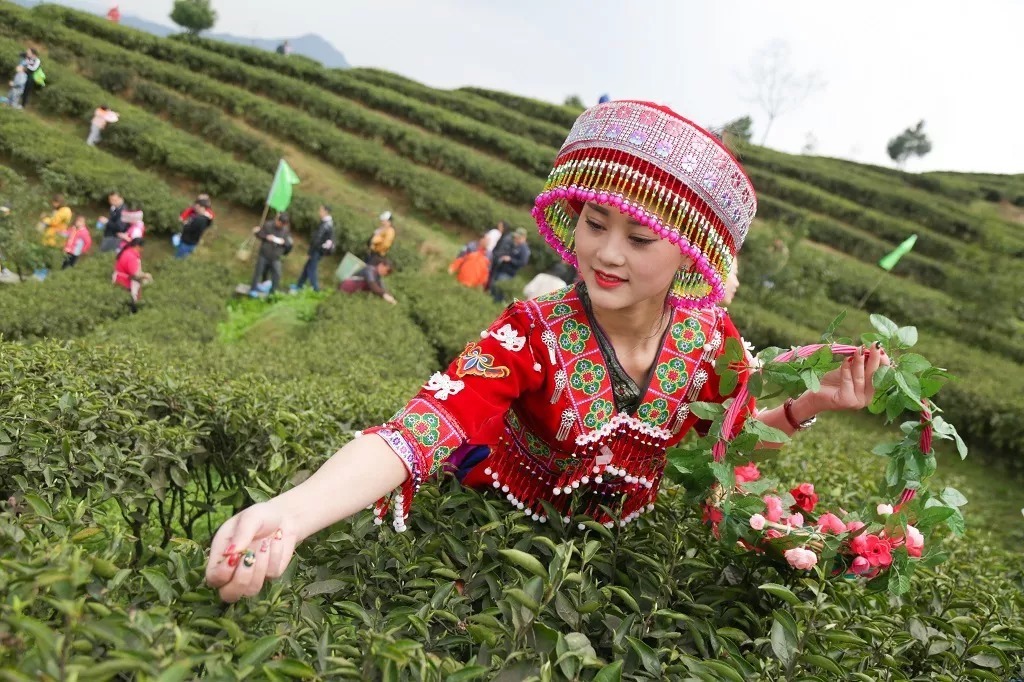 春暖花开茶飘香，我想约你去万盛，只为…