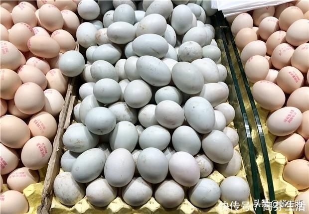 营养|鸡蛋、鸭蛋、鹅蛋哪个营养最高今天总算知道了，以后别再吃错了