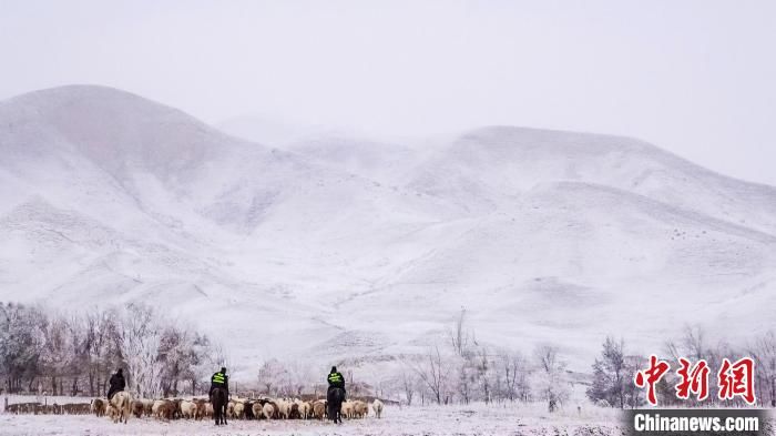 棉衣|新疆伊犁：民警救助被大雪围困的羊群及牧民安全转场