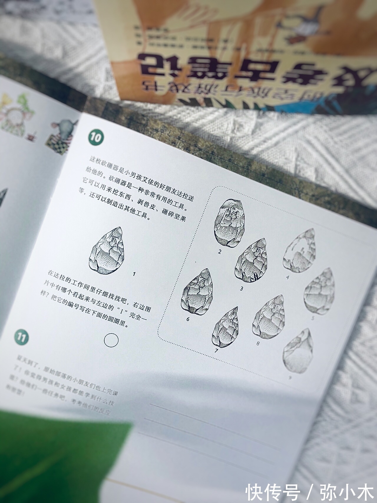 观察力#历史还能这样读?动脑又动手,好玩又涨知识的历史书,孩子看不够