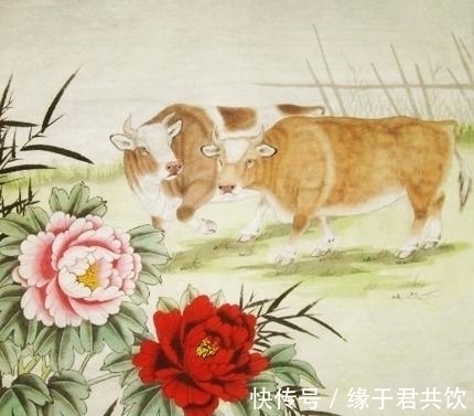 困难|三大生肖今年上半年缺点运气，生活困难，下半年好运来袭